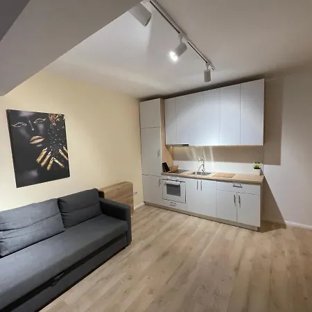 Riverside Luxury Near President Palace Apartman